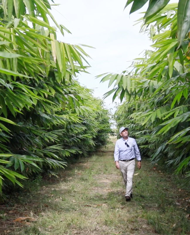 Floroda Fresh Bamboo Growers